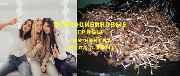 спайс Абаза