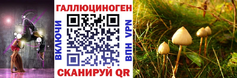 Галлюциногенные грибы GOLDEN TEACHER Ивантеевка