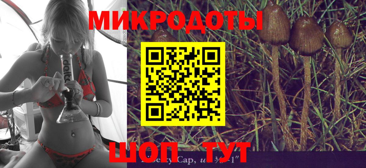 Псилоцибиновые грибы мухоморы Ивантеевка